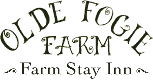 Olde Fogie Farm - Farm Stay Inn